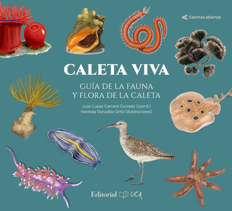 CALETA VIVA. GUIA DE LA FAUNA Y FLORA DE LA CALETA 1