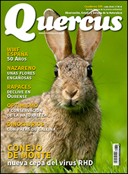 QUERCUS. OBSERVACIÓN, ESTUDIO Y DEFENSA DE LA NATURALEZA CUADERNO 389                                                                                  2