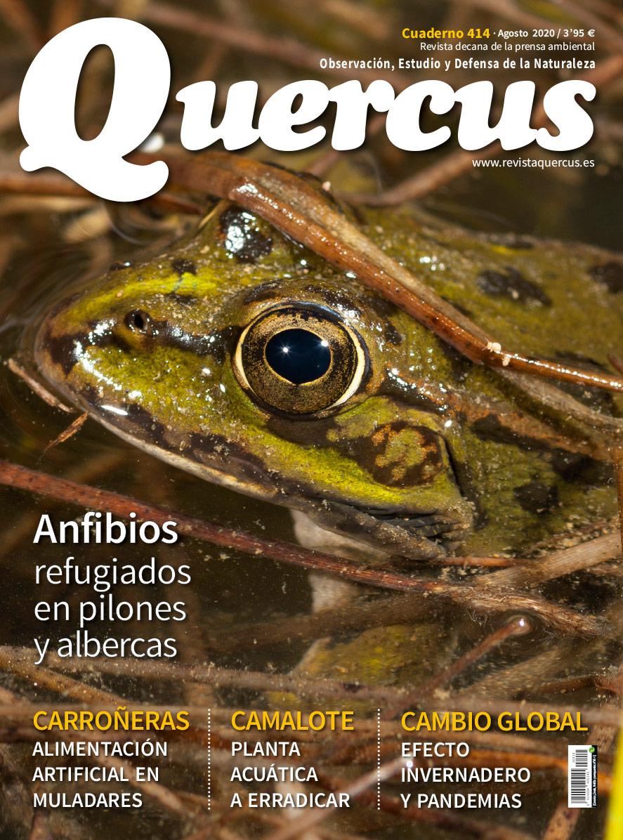 QUERCUS. OBSERVACIÓN, ESTUDIO Y DEFENSA DE LA NATURALEZA CUADERNO 414                                                                                  1