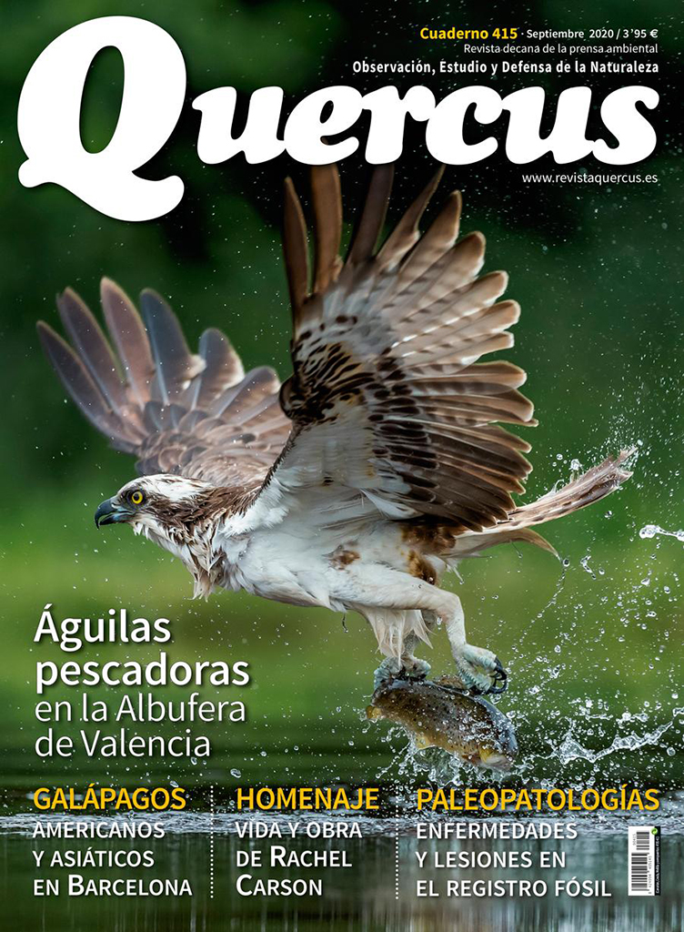 QUERCUS. OBSERVACIÓN, ESTUDIO Y DEFENSA DE LA NATURALEZA CUADERNO 415       1