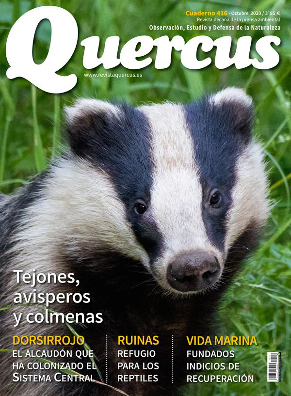 QUERCUS. OBSERVACIÓN, ESTUDIO Y DEFENSA DE LA NATURALEZA CUADERNO 416                            1
