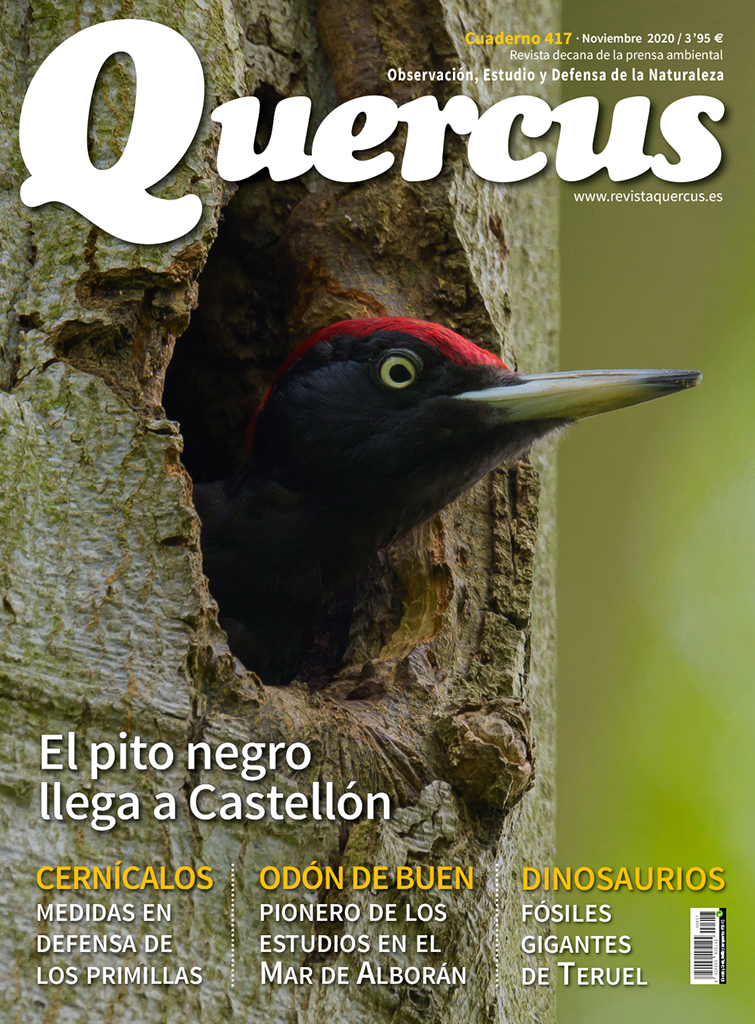 QUERCUS. OBSERVACIÓN, ESTUDIO Y DEFENSA DE LA NATURALEZA CUADERNO 417 1