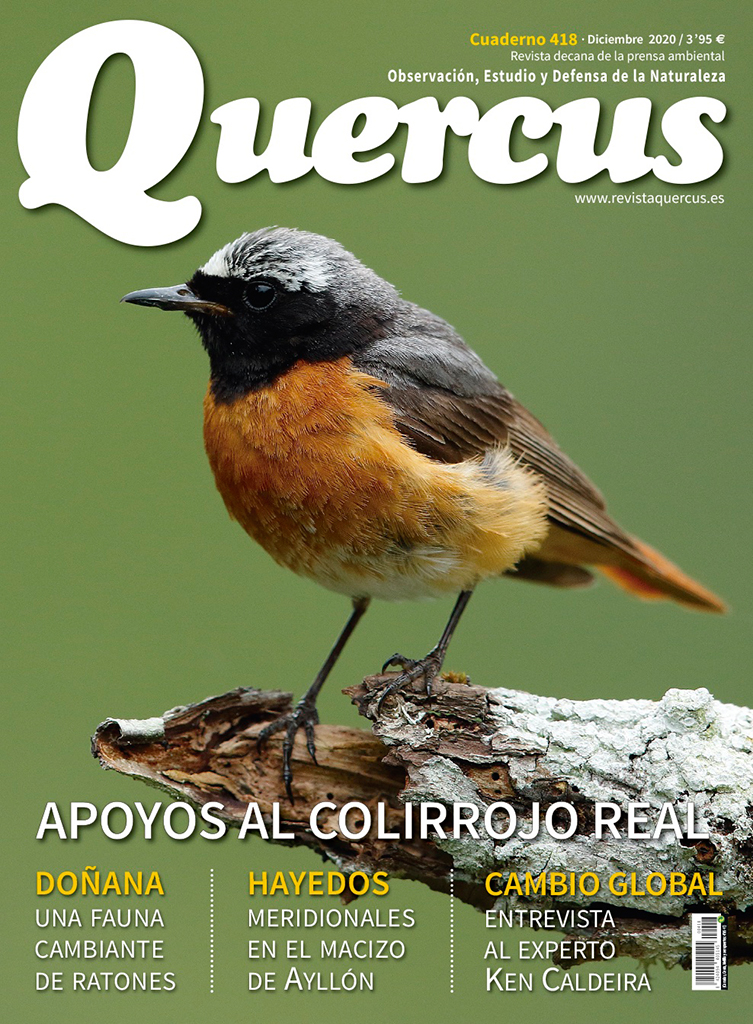 QUERCUS. OBSERVACIÓN, ESTUDIO Y DEFENSA DE LA NATURALEZA CUADERNO 418 1