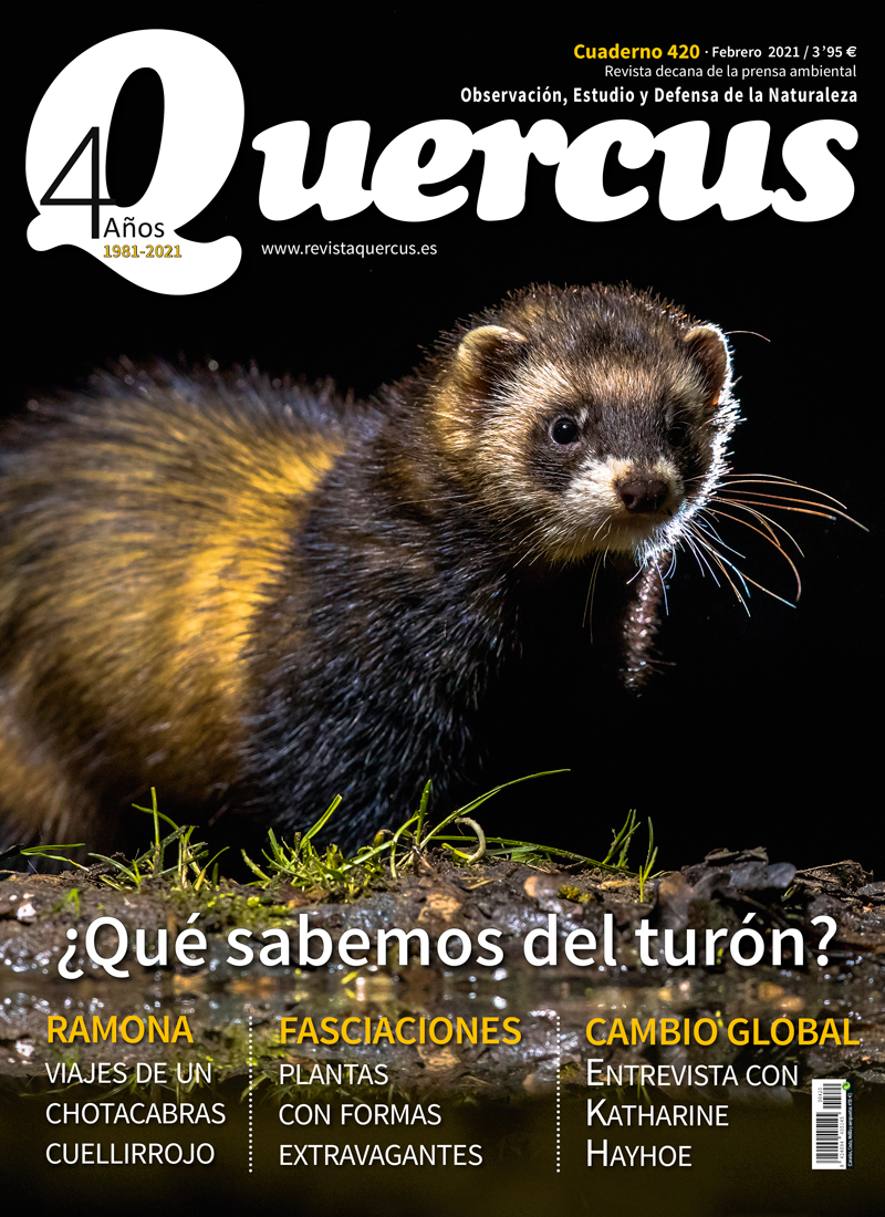 QUERCUS. OBSERVACIÓN, ESTUDIO Y DEFENSA DE LA NATURALEZA CUADERNO 420 1