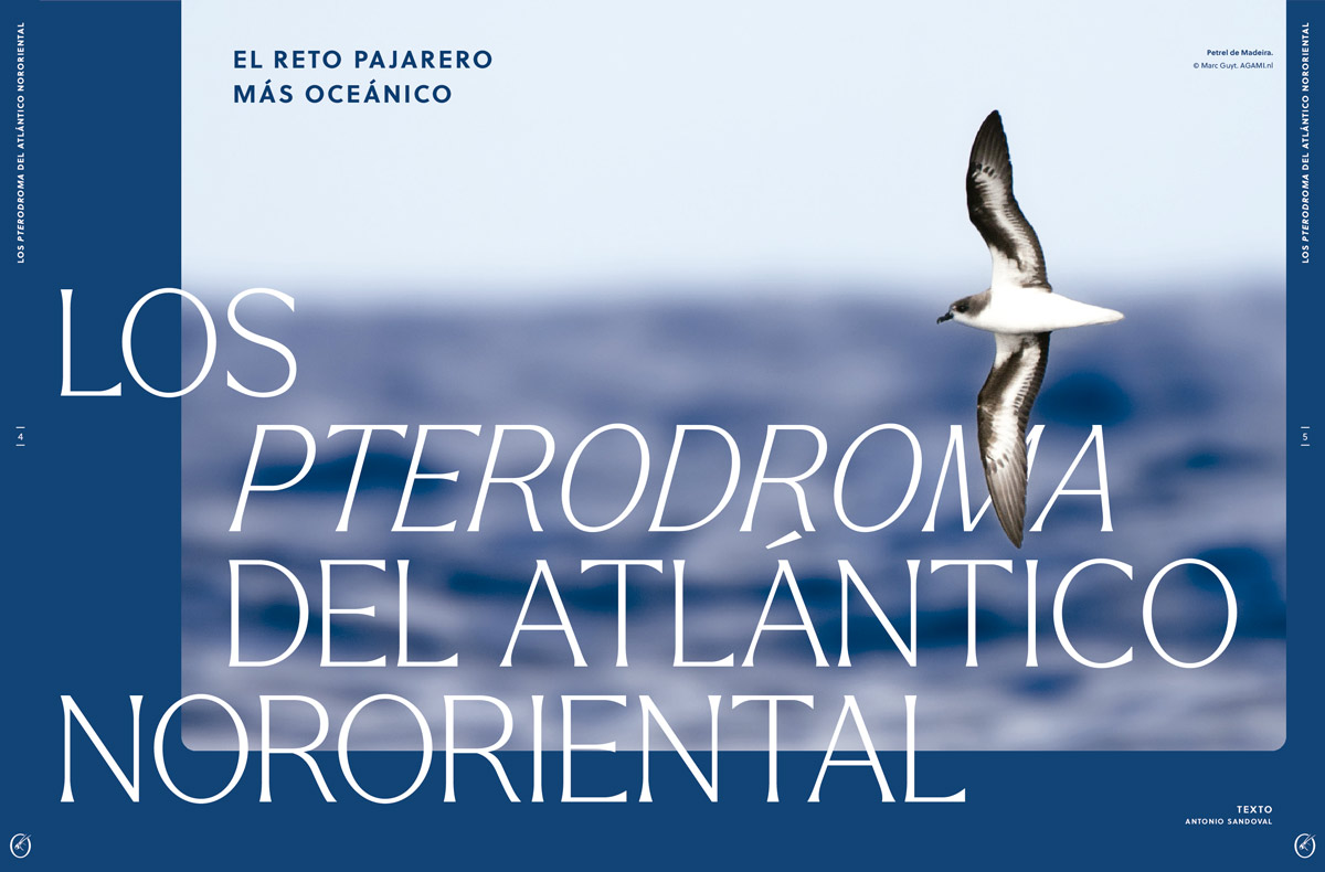 ORYX, LA REVISTA DEL AMANTE DE LA NATURALEZA. NÚMERO 02. Versión impresa en castellano. 3