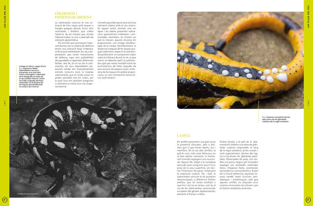 ORYX, LA REVISTA DE L\'AMANT DE LA NATURA. NÚMERO 03. Versió impresa en català. 3