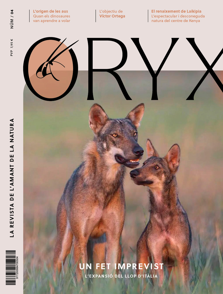 ORYX, LA REVISTA DE L\'AMANT DE LA NATURA. NÚMERO 04. Versió impresa en català. 1