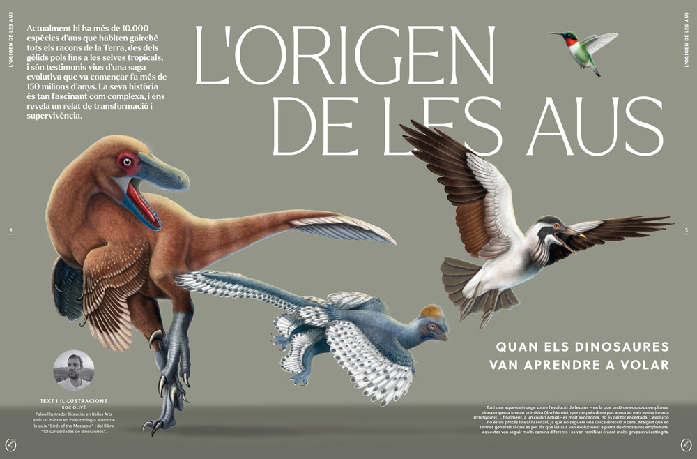 ORYX, LA REVISTA DE L\'AMANT DE LA NATURA. NÚMERO 04. Versió impresa en català. 2