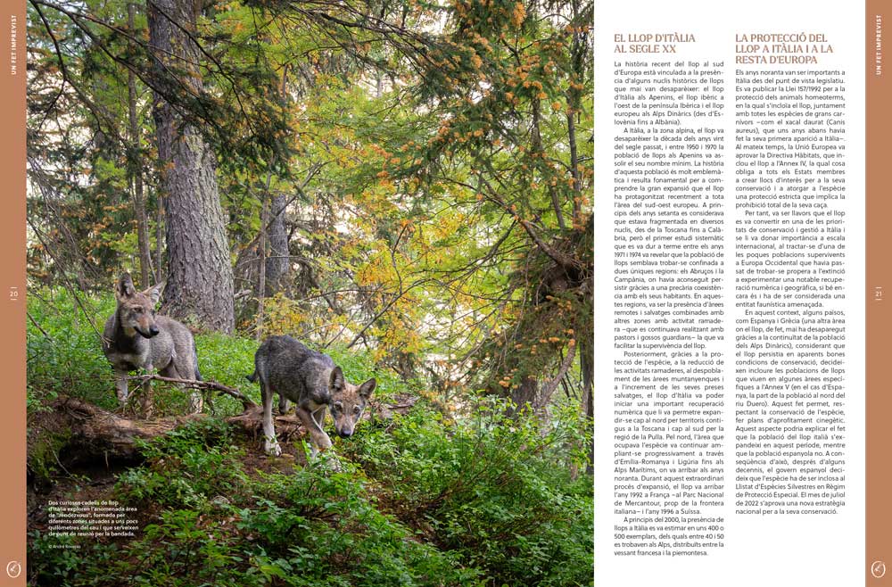 ORYX, LA REVISTA DE L\'AMANT DE LA NATURA. NÚMERO 04. Versió impresa en català. 3