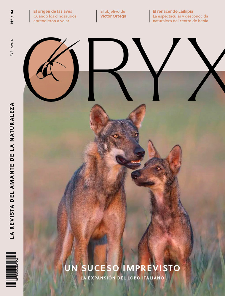 ORYX, LA REVISTA DEL AMANTE DE LA NATURALEZA. NÚMERO 04. Versión impresa en castellano. 1