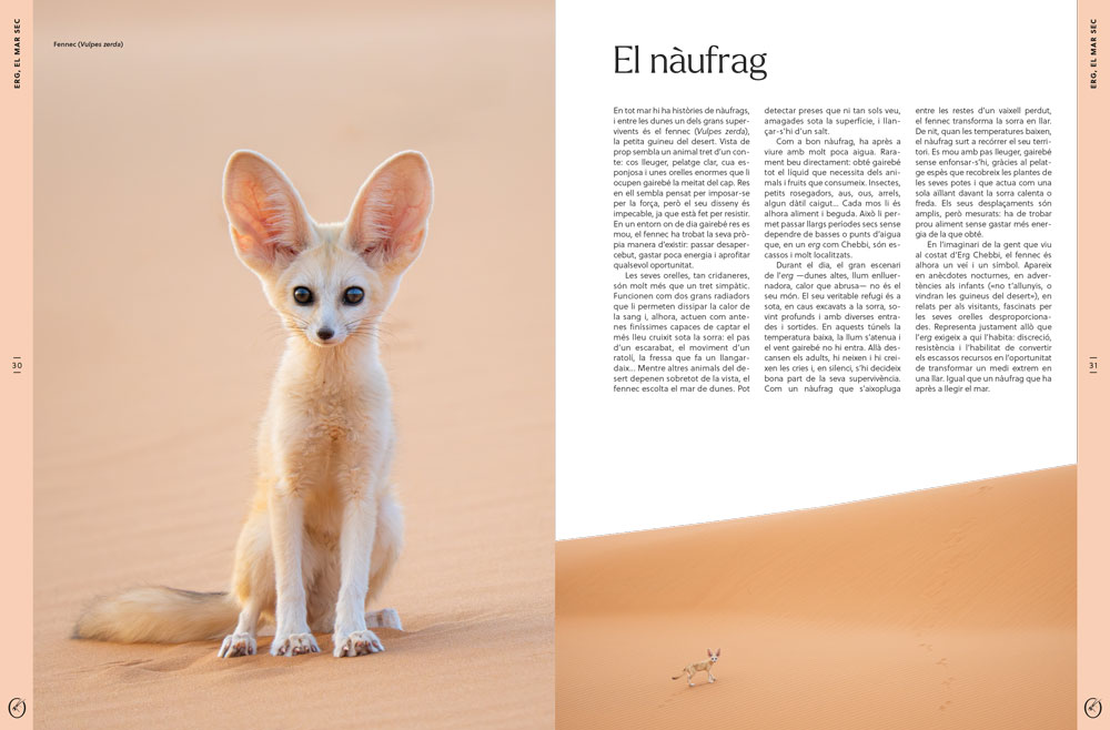 ORYX, LA REVISTA DE L'AMANT DE LA NATURA. NÚMERO 07. VERSIÓ IMPRESA EN CATALÀ. 4