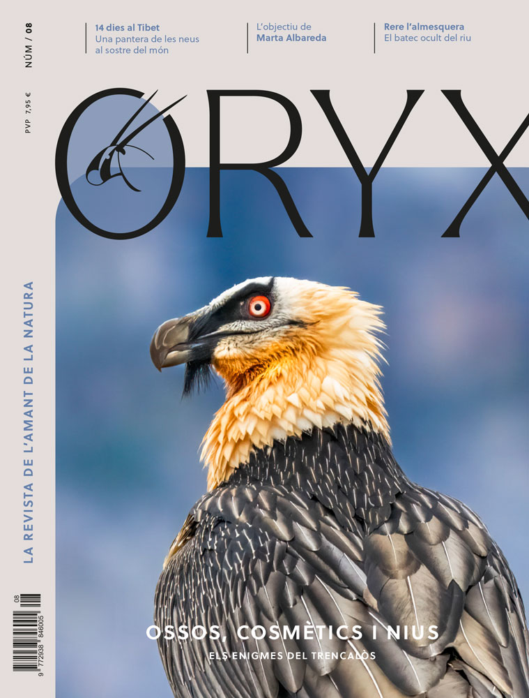 ORYX, LA REVISTA DE L'AMANT DE LA NATURA. NÚMERO 08. VERSIÓ IMPRESA EN CATALÀ. 1