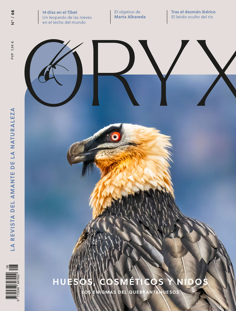 ORYX, LA REVISTA DEL AMANTE DE LA NATURALEZA. NÚMERO 08. VERSIÓN IMPRESA EN CASTELLANO. 1