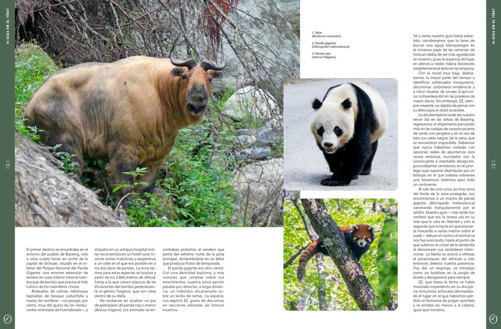 ORYX, LA REVISTA DEL AMANTE DE LA NATURALEZA. NÚMERO 08. VERSIÓN IMPRESA EN CASTELLANO. 4
