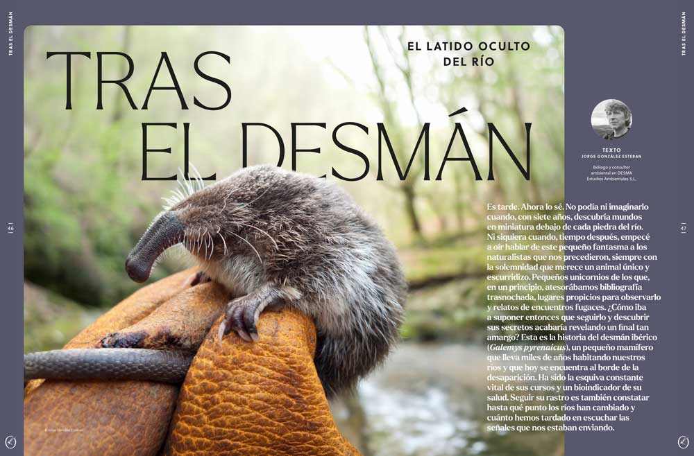 ORYX, LA REVISTA DEL AMANTE DE LA NATURALEZA. NÚMERO 08. VERSIÓN IMPRESA EN CASTELLANO. 5