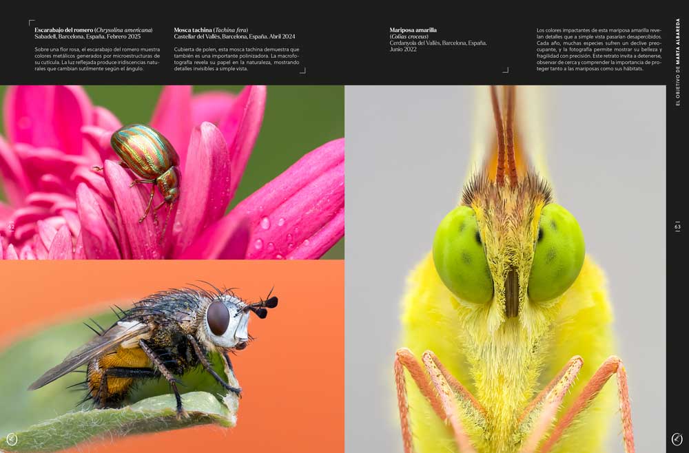 ORYX, LA REVISTA DEL AMANTE DE LA NATURALEZA. NÚMERO 08. VERSIÓN IMPRESA EN CASTELLANO. 6