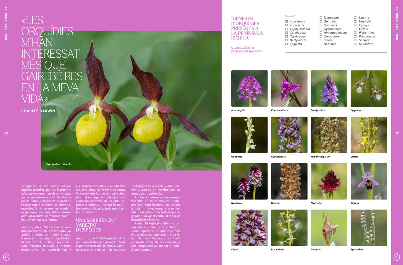 ORYX, LA REVISTA DE L'AMANT DE LA NATURA. NÚMERO 09. VERSIÓ IMPRESA EN CATALÀ. 5