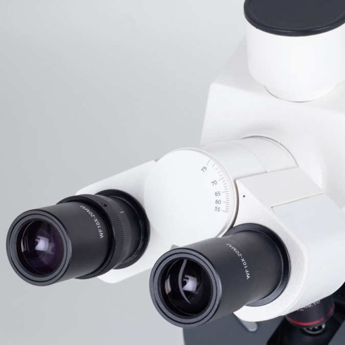 MOTIC SILVER253 MICROSCOPIO TRINOCULAR CON PORTAOBJETIVOS QUÍNTUPLE CON OBJETIVO 100X DE IMMERSIÓN. 2