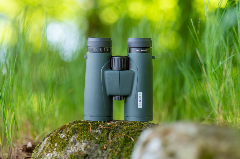 BINOCULARES DOF BIRDLIFE ALBATROSS 10X42 4