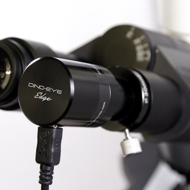 DINO-LITE CÁMARA DIGITAL PARA OCULAR PARA TODO TIPO DE MICROSCOPIOS AM4025X 2