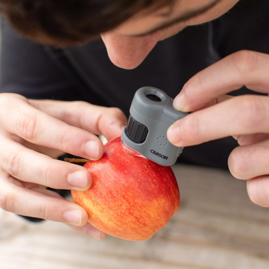 CARSON KIT MICROSCOPIO DE BOLSILLO MICROMINI 20X + ADAPTADOR DIGISCOPING 4