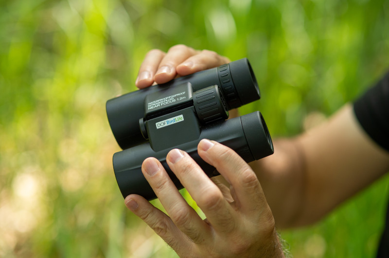 BINOCULARES DOF BIRDLIFE STARLING 8X42 5