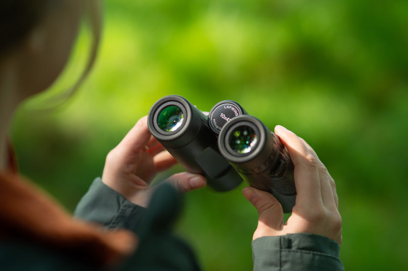 BINOCULARES DOF BIRDLIFE LAPWING 10X42 5