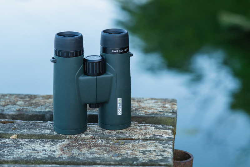 BINOCULARES DOF BIRDLIFE CONDOR 8X42 4