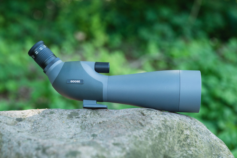 TELESCOPIO DOF BIRDLIFE GOOSE 22-66X80 4