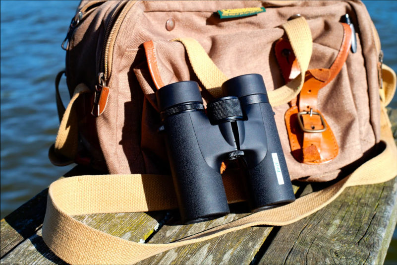 BINOCULARES DOF BIRDLIFE WAXWING ED 10X32 4
