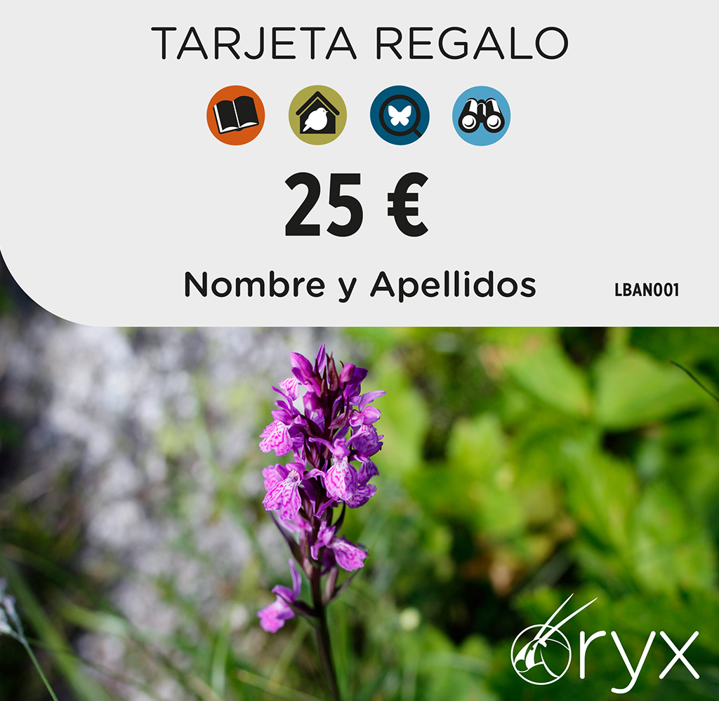 TARJETA REGALO 25   / TARGETA REGAL / GIFT CARD 1