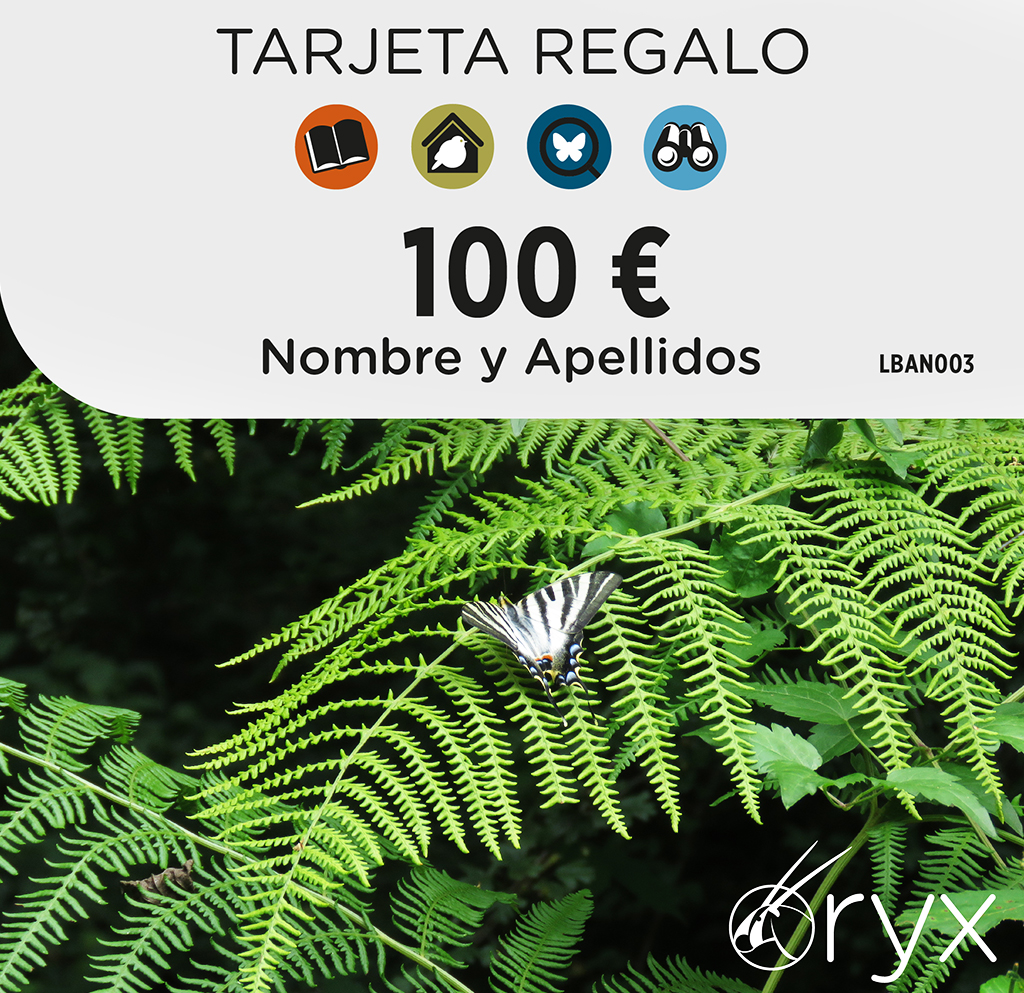 TARJETA REGALO 100   / TARGETA REGAL / GIFT CARD 1