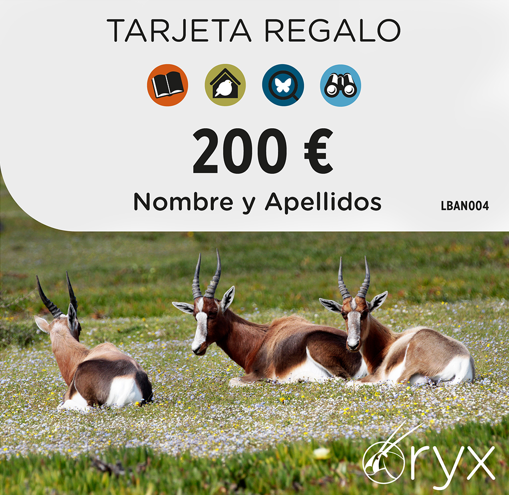 TARJETA REGALO 200  / TARGETA REGAL / GIFT CARD 1