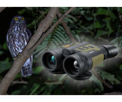 Pulsar Wildlife