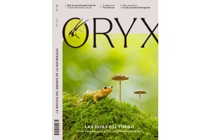 Números antiguos