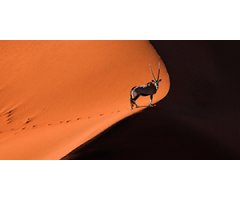 NOVA WEB!