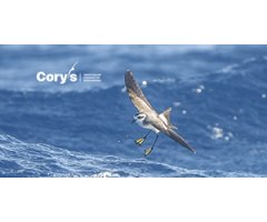 COL·LABOREM AMB EL PROJECTE PELAGODROMA de CORY'S