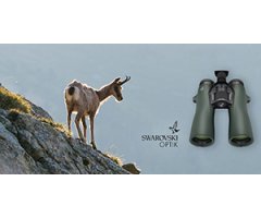 SWAROVSKI NL PURE