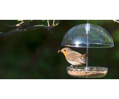 BIRD FEEDERS