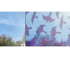 HELP REDUCE BIRD COLLISIONS