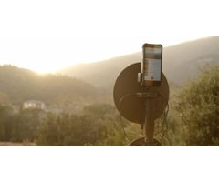 BirdMic