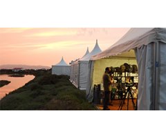 DELTA BIRDING FESTIVAL 2021