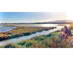DELTA BIRDING FESTIVAL 2023