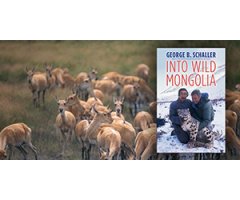 GEORGE SCHALLER BOOKS