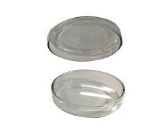 CÁPSULA DE PETRI 120 mm DIÁMETRO 2