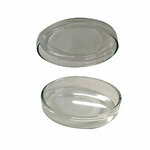 CAPSULA DE PETRI 150/60  MM 2