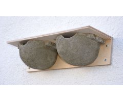 Nº 9B CAJA NIDO DOBLE PARA AVIÓN COMÚN