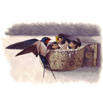 NR. 10B NIDO PARA GOLONDRINA COMÚN_1