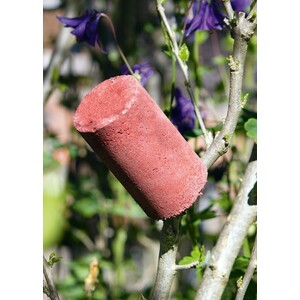 REFUGIO PARA TIJERETAS Y MARIQUITAS (3 UNIDADES)_1