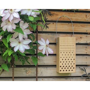 NIDO DE HIMENÓPTEROS DE MADERA_1